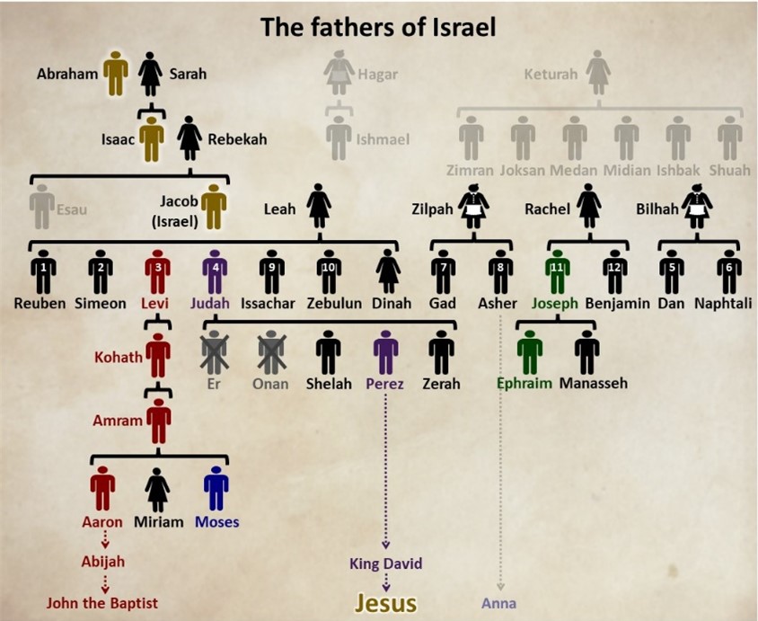 Israel’s family tree