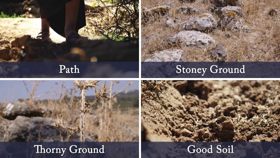 The path, stoney ground, thorny ground and good soil