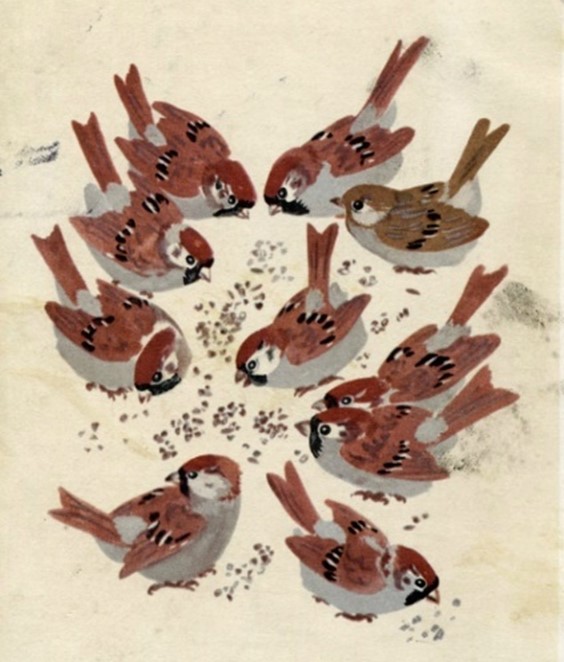 Sparrows eating seeds