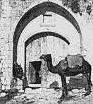 A camel in front of the eye of the needle gate'