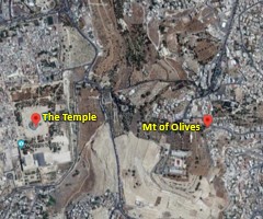 Google map of the Mt of Olives across the valley from the temple