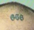 The Mark (666 tattooed forehead)