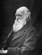 Charles Robert Darwin